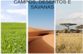 Campos, desertos e savanas