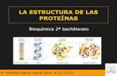 Estructura de las proteínas jano