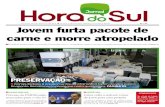 Jornal Hora do Sul 06-06-2012