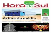 Jornal Hora do Sul 23/12/2011