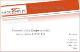 Consultoria a empresa gymex pdf