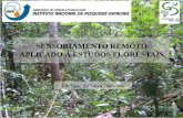 Sensoriamento remoto aplicado à estudos florestais igor narvaes_iii_saef