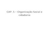 Cap 5  organização social e cidadania