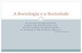 A sociologia e a sociedade