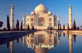 Taj Mahal O Tumulo Do Amor