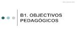 1299158038 objectivos pedagogicos