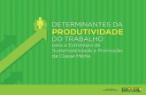 "Determinantes da Produtividade do Trabalho para a Estratégia de Sustentabilidade e Promoção da Classe Média"