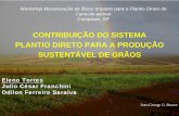 Contribuição do Sistema Plantio Direto para a Produção Sustentável de Grãos