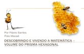 Volume do Prisa Reto Hexagonal - Descobrindo E Vivendo A MatemáTica