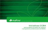 Imaflora iniciativas ccba para projetos privados e programas de redd