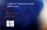 OrganizacióN Mexicana Jgl