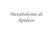 Metabolismo de lipídeos