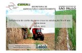 Seminário stab 2013   agrícola - 07. influência do corte de cana crua na adubação de n e k em cana soca - raffaella rossetto (apta-iac)