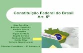 Constituição federal do brasil   direito