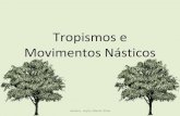 Tropismo e Movimentos Nasticos