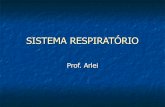 Sistema respiratório - Prof. Arlei