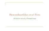 309 ari loebl    biocombustibles en el perú