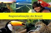 O processo de regionalização do brasil