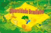 Diversidade brasileira nx