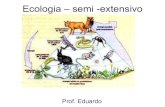 Semi ecologia geral