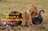 Fauna de Angola  - Carnívoros