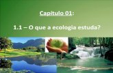 Capítulo 01   ecologia