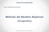 Método de Newton-Raphson - @professorenan