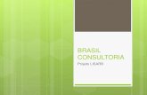 Brasil Consultoria: Projeto LISARB