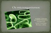 Os microrganismos