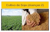 PROF. LUIZ HENRIQUE - Cultivo de soja doenças 2