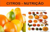 PROF. LUIZ HENRIQUE - Citros nutrição