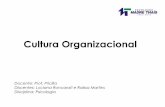 Cultura das organizações
