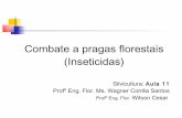 Combate a pragas (inseticida)