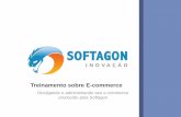 Treinamento E-commerce Softagon