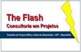 The Flash Consultoria em Projetos