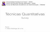 02   técnica quantitativa - survey