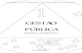 4869649 nova-gestao-publica