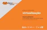 Ergodesign USIHC 2014 – virtualização