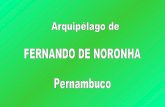 Fernando De Noronha
