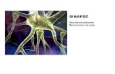 Mecanismo de sinapses