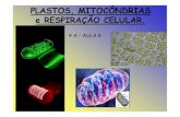 Plastos e mitocondrias 5 a