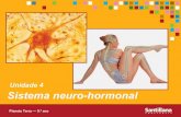 Sistema Neuro Hormonal - PT2