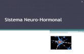 Sistema Neuro Hormonal