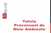 TVJur.com - Aulas de Direito Ambiental - Tutela processual