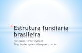 Estrutura fundiária brasileira