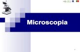 5   microscópio