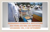 Seminário “A FLORESTA E A APICULTURA” - XXV FEIRA DO MEL DO ESPINHAL