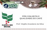 Pós colheita e qualidade do café   virgílio anastácio