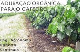 Apresentação Roberto Santinato Adubação Orgânica para o Cafeeiro