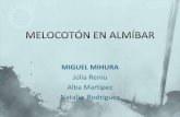 2C9 Melocotón en almíbar. Júlia R, Alba M, Natalia R